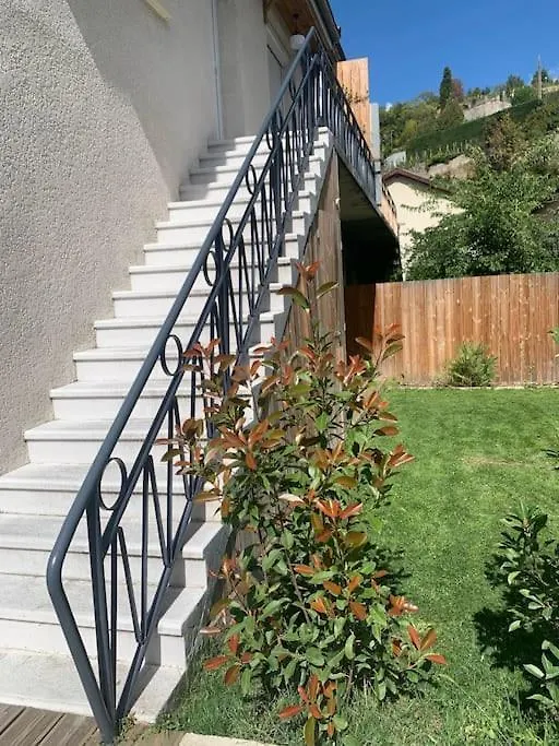 Maison Viognier Condrieu Villa